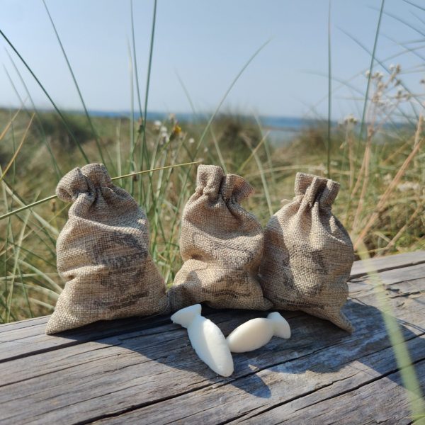 Lemongrass and Ginger Wax Melts